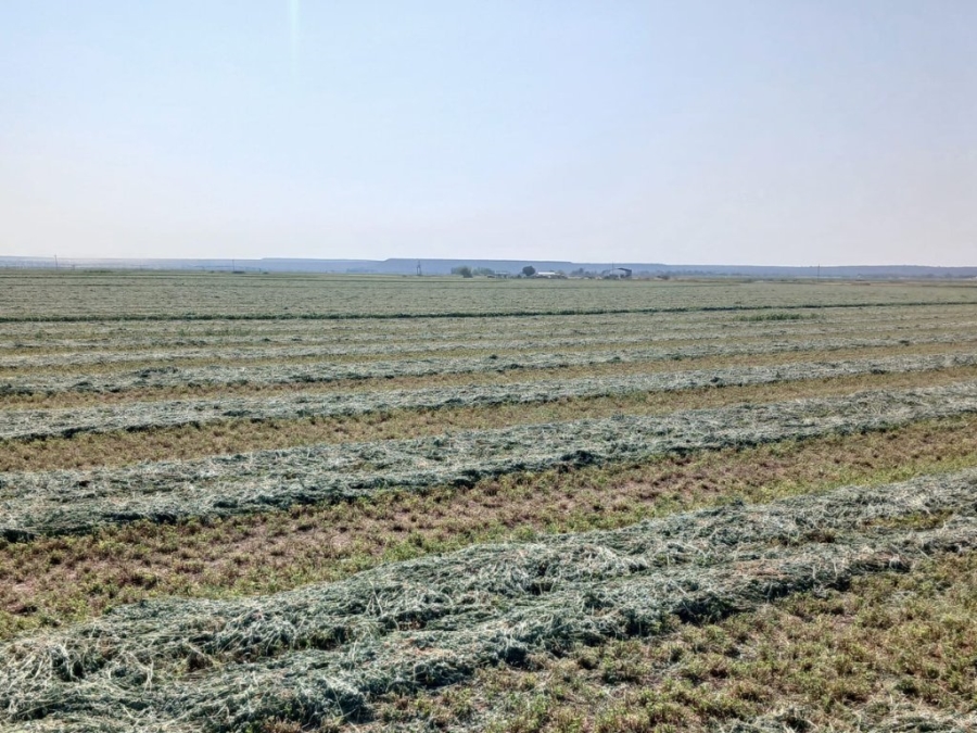 Commercial Property for Sale in Douglas Rural Northern Cape